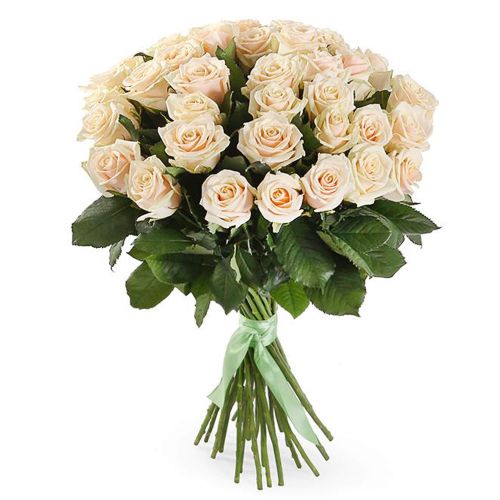 Купить 25 кремовых роз с доставкой по Домодедово 