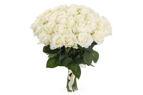 Заказать с доставкой 41 белую розу по Домодедово 