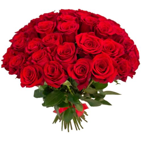 Букет из 51 розы - купить с доставкой по Домодедово 